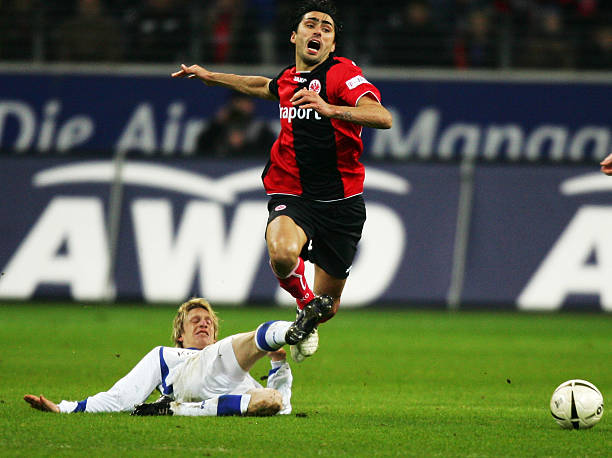 在今夏欧洲 在今夏欧洲